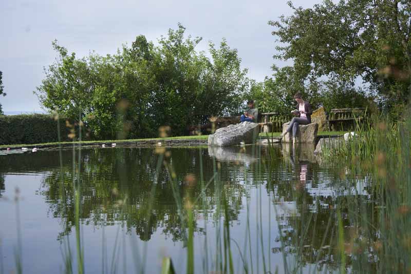 Entspannung pur am eigenen Naturbadeteich