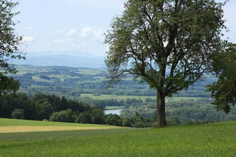 Ferienwohnungen mit Aussicht