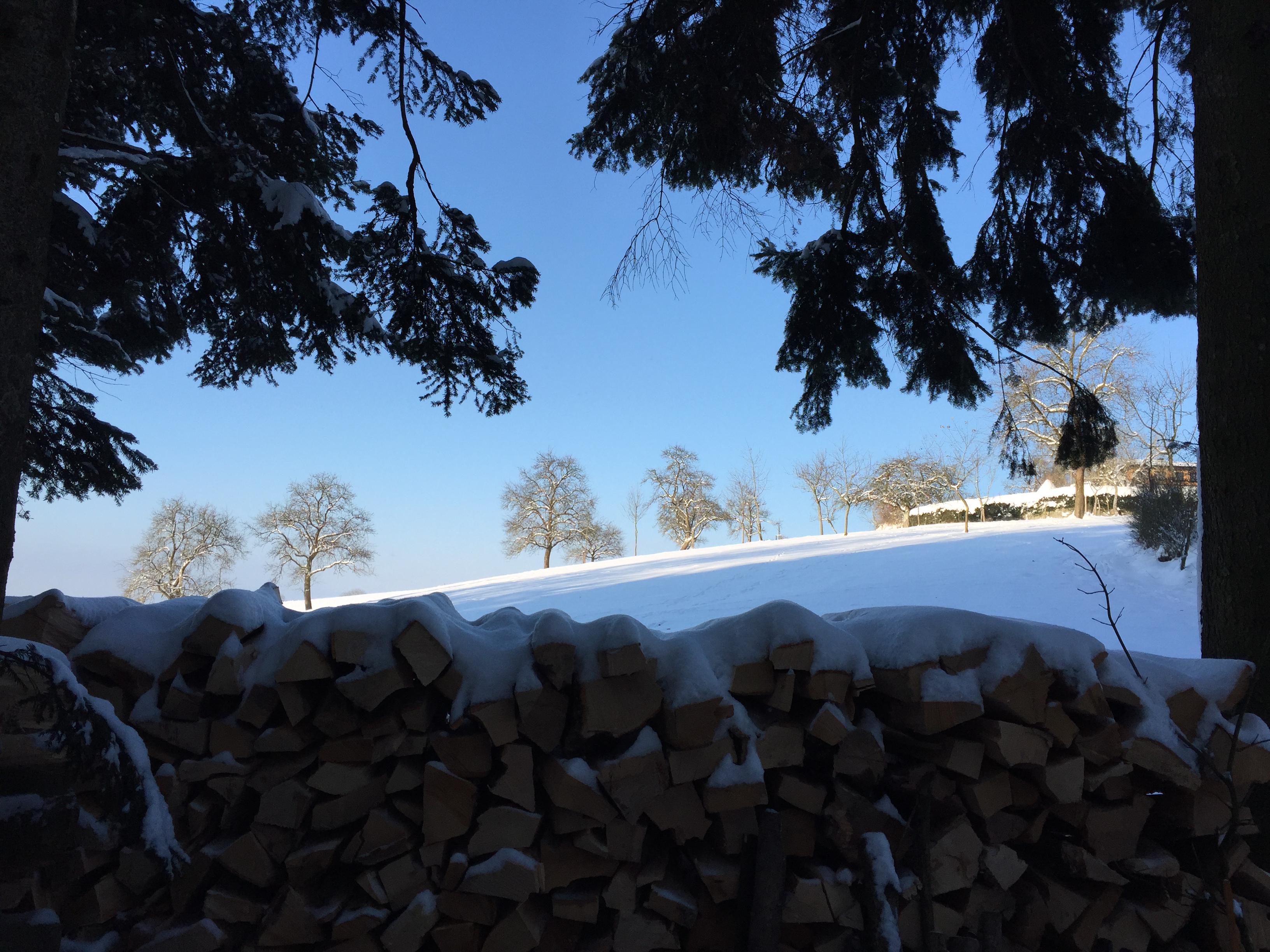 Leise rieselt der Schnee - Wir heizen mit Windhör-Holz!